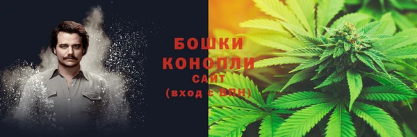 PSILOCYBIN Алексеевка