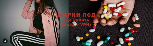 индика Алзамай
