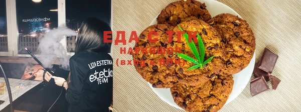индика Алзамай