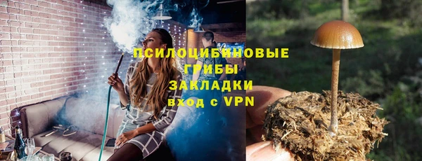 PSILOCYBIN Алексеевка