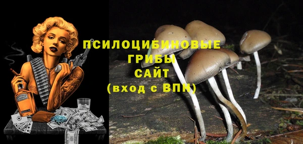 индика Алзамай